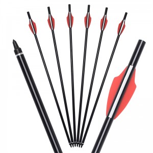 ايلونج في الهواء الطلق 110300-01 20 بوصة إيرغون الألومنيوم رمح القوسون بولت الرماية arrow معدات الرماية