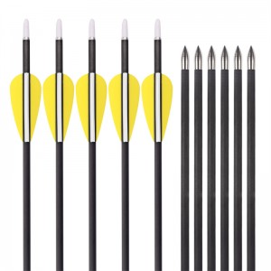 ID4.2mm SP300-1500 سهم كربون لإطلاق النار المستهدف