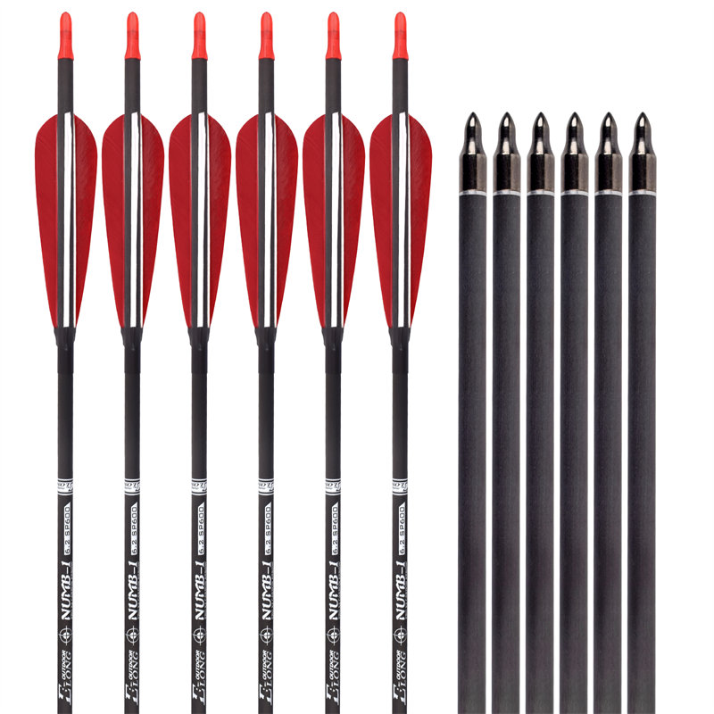 عرض لقطة 2026